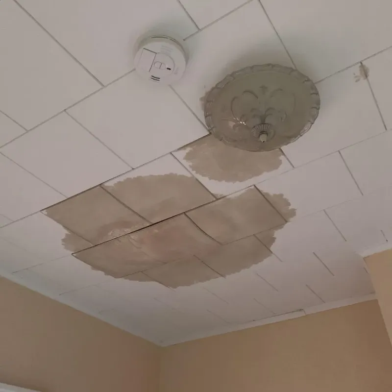 Ceiling Water Damage Repair in Miami, OK
