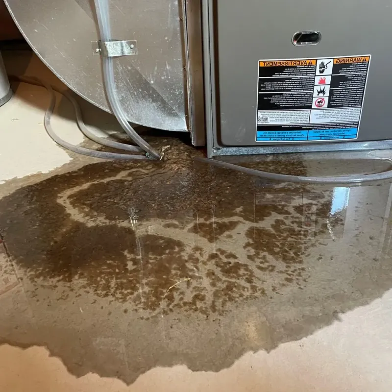 Pipe Burst and Leak Restoration in Miami, OK